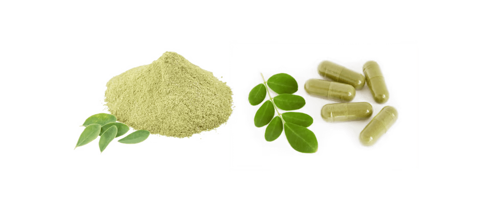 Moringa Leaves